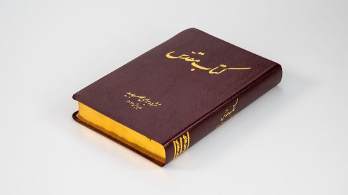 Today's Persian Version Revised Deluxe (Burgundy)