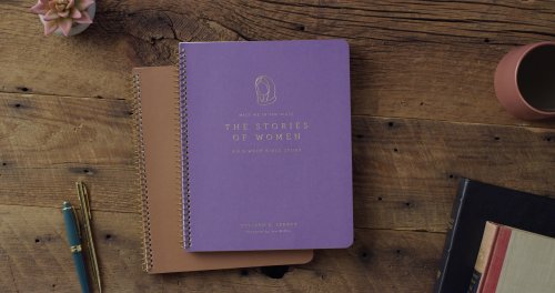 The Stories of Women: An 8-Week Bible Study