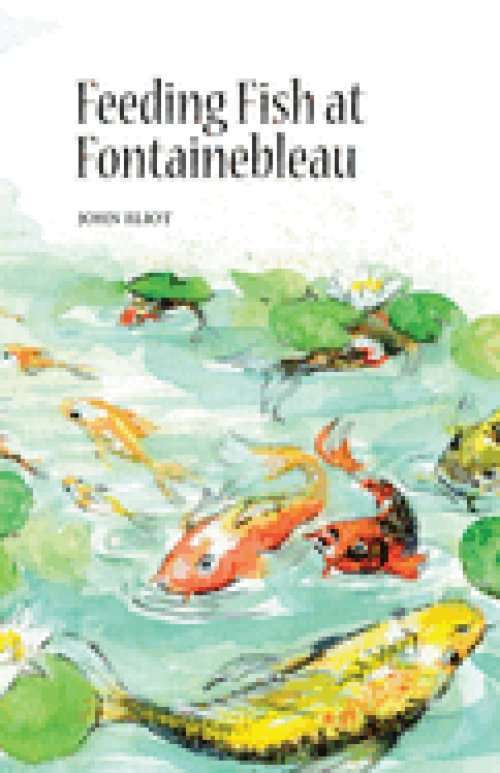 Feeding Fish at Fontainebleau