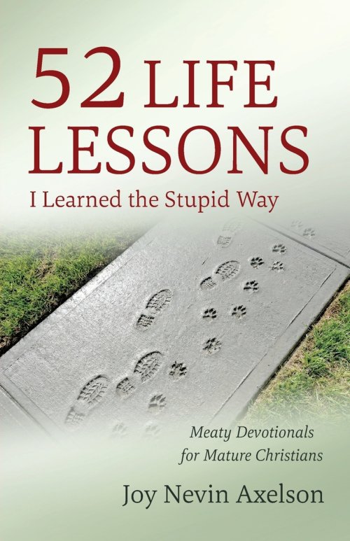52 Life Lessons I Learned the Stupid Way: Meaty Devotionals for Mature Christians
