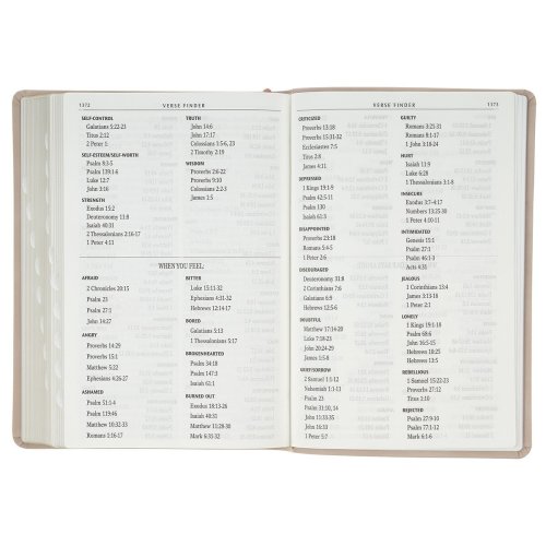 KJV Bible Giant Print Full-size Faux Leather, Blush Pink