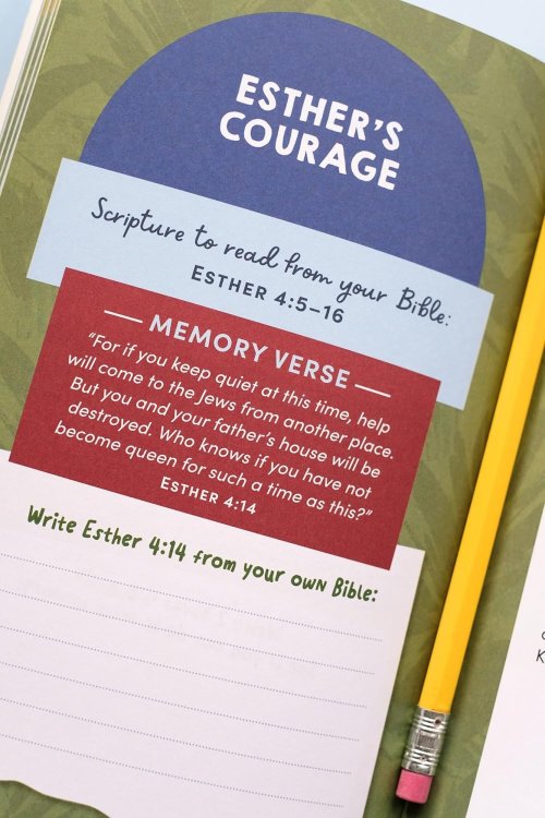 Kids' Bible Adventure Notebook: Easy-to-Follow Bible Studies for Kids