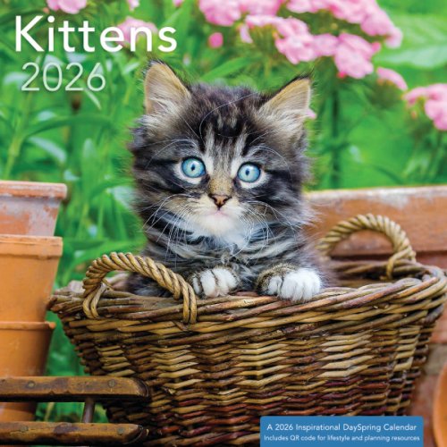 Kittens Mini Wall Calendar - No Scripture