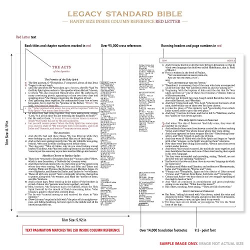 Lsb, Handy Size, Inside Column Reference, Paste-Down Pink Faux Leather Hope Blooms, Red Letter