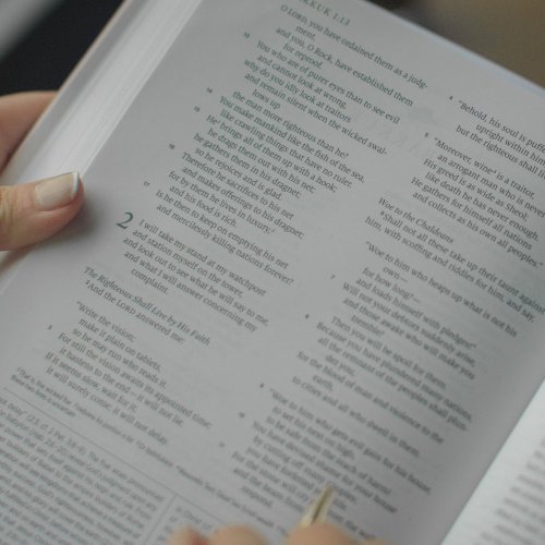 ESV Applying the Gospel Study Bible for Women (Hardcover)