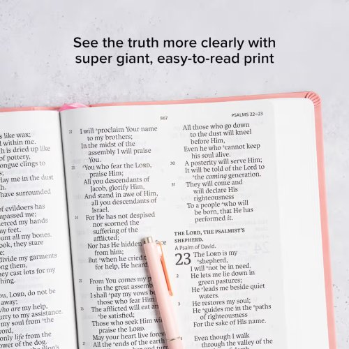 NASB Super Giant Print Reference Bible, Value Edition, Pink