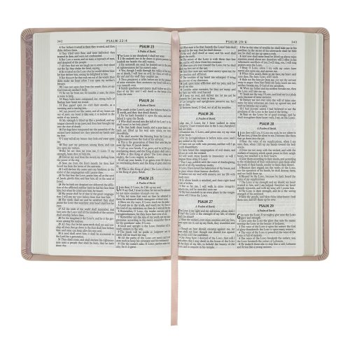 KJV Bible Gift Edition Faux Leather Blush Pink