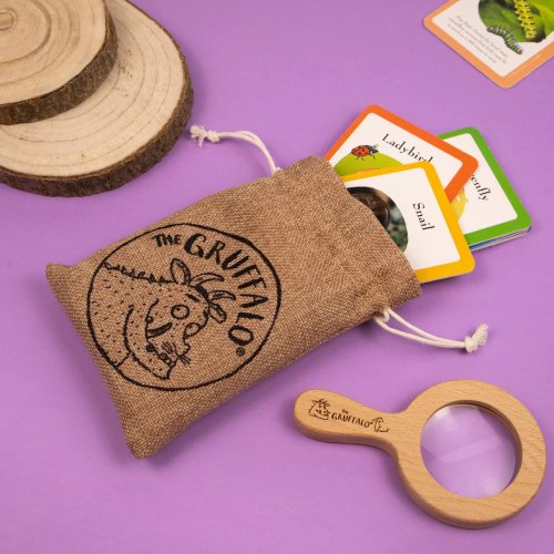 Gruffalo Bug Spotter Activity Set
