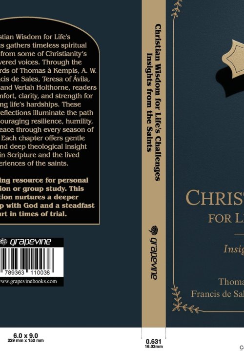Christian Wisdom for Life's Challenges: Insights from the Saints