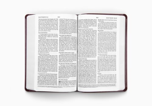 ESV Premium Gift Bible (TruTone, Mahogany, Border Design)
