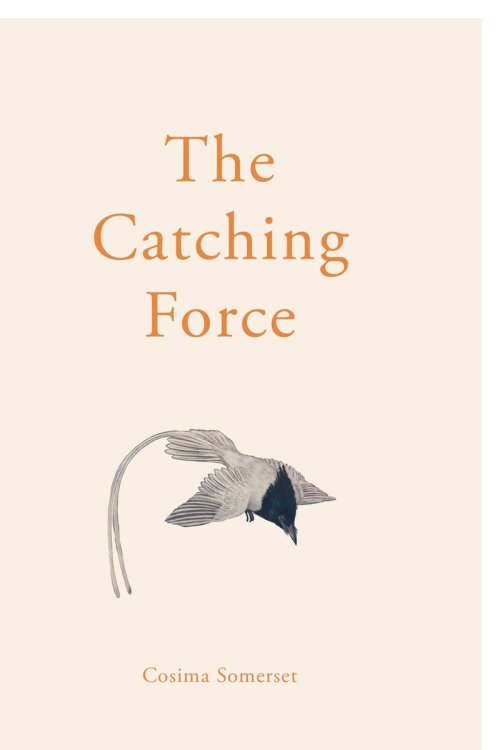 The Catching Force