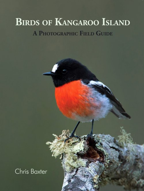 Birds of Kangaroo Island