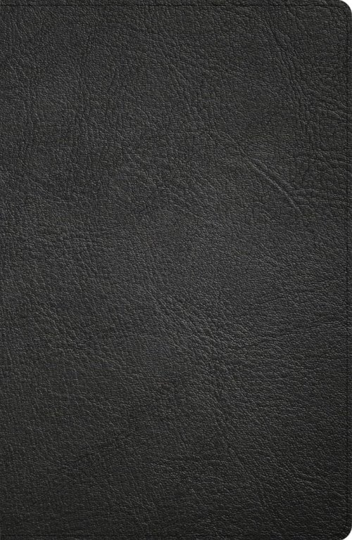 CSB Large Print Personal Size Reference Bible, Black