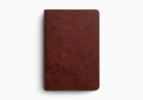 ESV Giant Print Personal Size Bible (TruTone, Chestnut)
