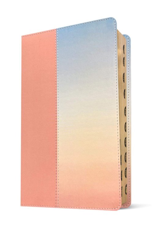 NLT Student Life Application Study Bible, Filament Enabled (LeatherLike, Ombre Pink, Indexed, Red Letter)