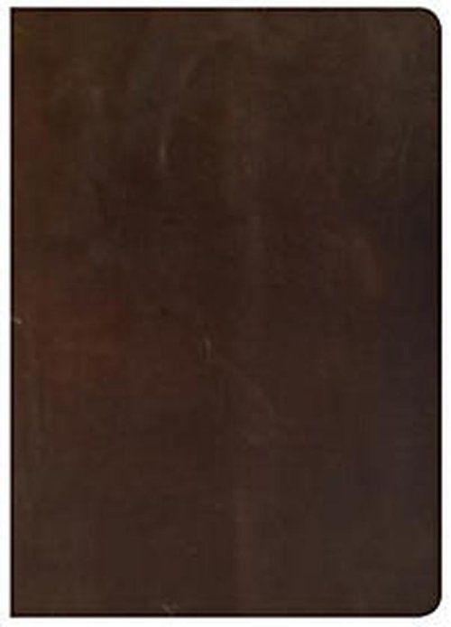 CSB She Reads Truth Bible, Brown Genuine Leather, Indexed