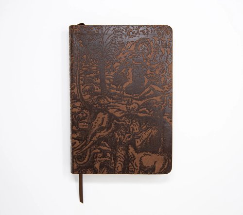 KJV Majestic Illuminated Bible (Brown Leatherluxe)