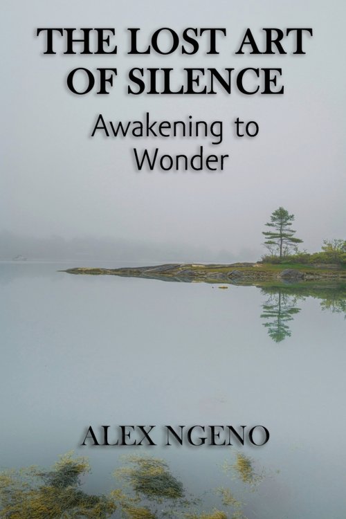 The Lost Art of Silence: Awakening to Wonder