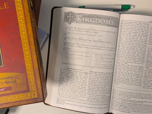 The Orthodox Study Bible, Brown Leathersoft