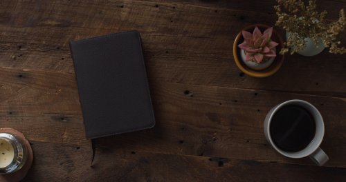ESV Large Print Compact Bible, Red Letter (Buffalo Leather, Deep Brown)