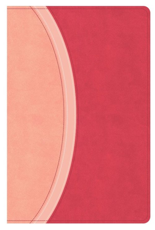 CSB Rainbow Study Bible, Pink Leathertouch