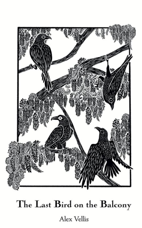 The Last Bird on the Balcony