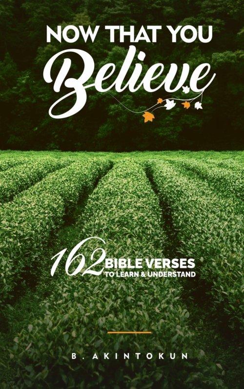 Now That You Believe: 162 Bible Verses To Learn & Understand