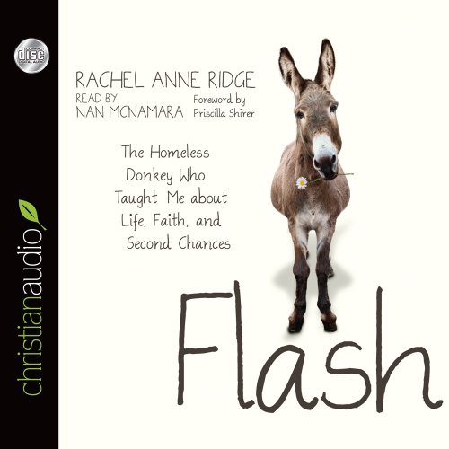 Flash