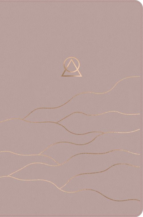 Message Women's Devotional Bible Large Print (Leather-Look, Dusty Blush)