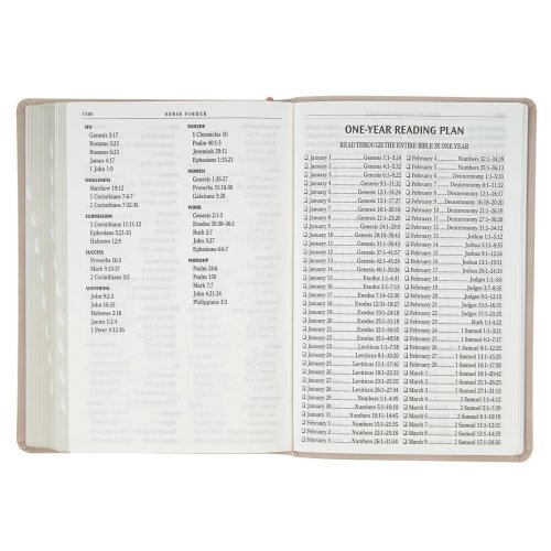 KJV Bible Giant Print Full-size Faux Leather, Blush Pink