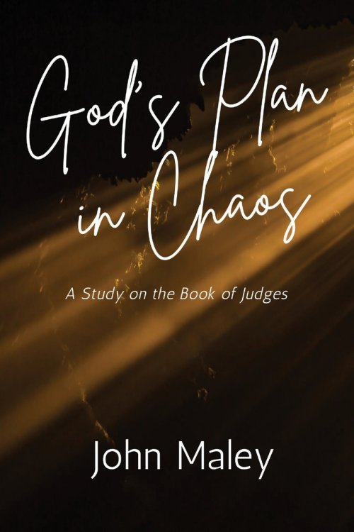 God's Plan in Chaos
