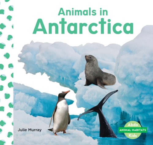 Animals In Antarctica