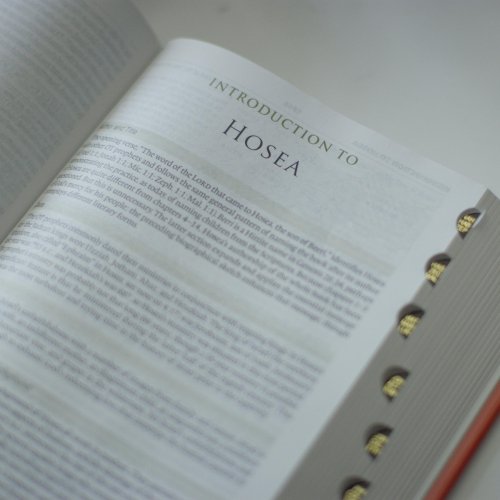ESV Study Bible, Large Print, Thumb Indexed (Hardcover)