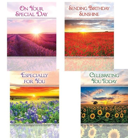 Boxed Card-Birthday Sunshine Assorted (KJV) (Box Of 12)