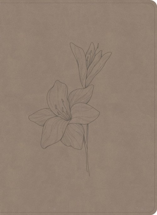 CSB Verse-By-Verse Reference Bible, Digital Study Edition