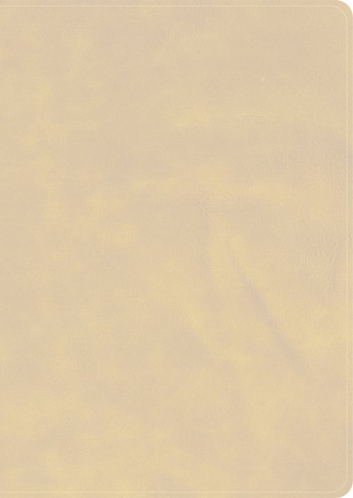 CSB She Reads Truth Bible, Holman Handcrafted Collection