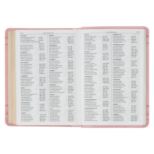 KJV Crown of Thorns Pink faux Leather Large Print Compact King James Bible