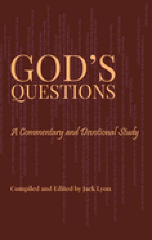 God's Questions: A Commentary and Devotional Study