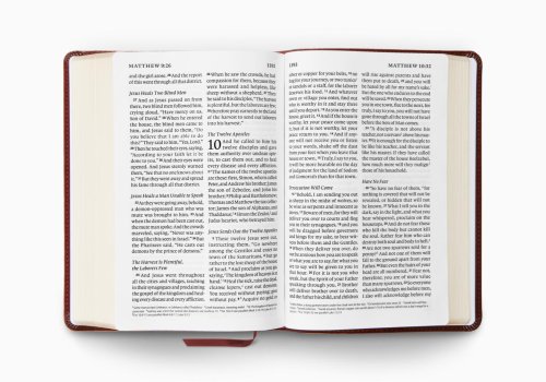 ESV Giant Print Personal Size Bible (TruTone, Chestnut)