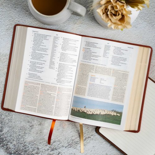 CSB Study Bible, Personal Size, Digital Study Edition, Burnt Sienna LeatherTouch