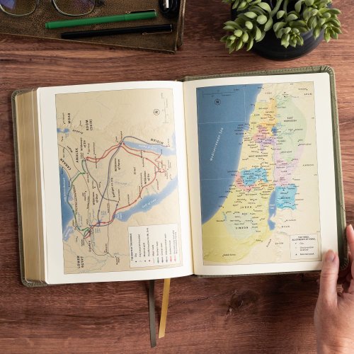 CSB Notetaking Bible, Large Print Edition, Sage Suedesoft