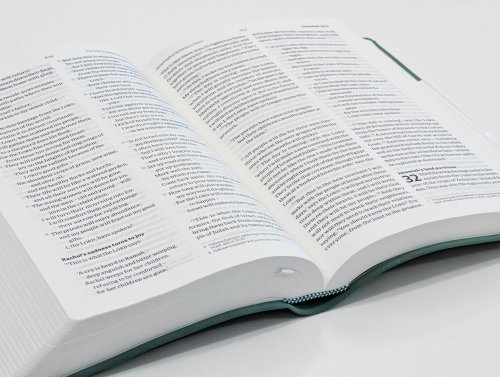 NLT Holy Bible, Sage Green Flexiback, Leather-Feel, Debossed Detailing, British Text, NLT New Living Translation, Flexiback, Standard size