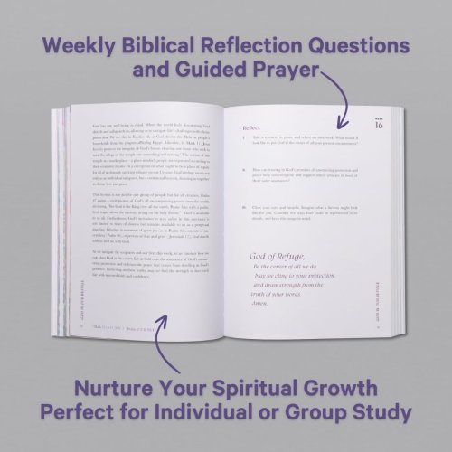 A Beautiful Year in the Bible: The 52-Week Bible Study for Women
