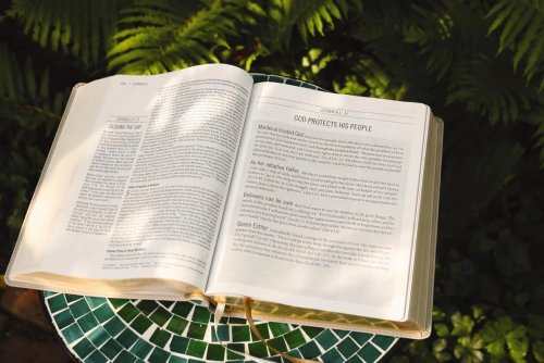 The Jesus Bible, ESV Edition, Leathersoft, Stone