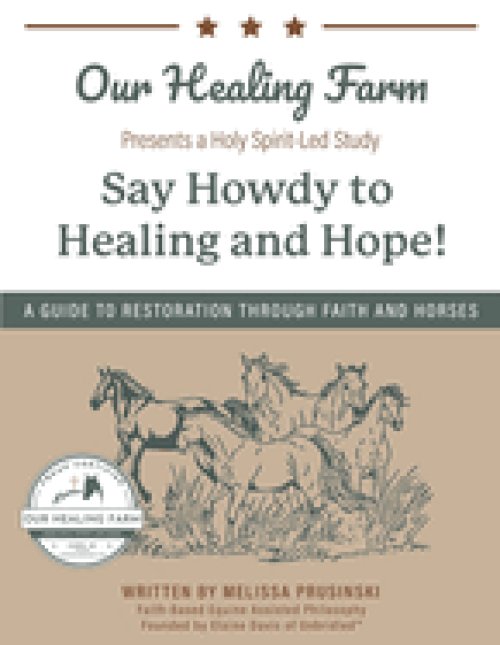 Say Howdy to Healing and Hope!: A Guide to Restoration Through Faith and Horses