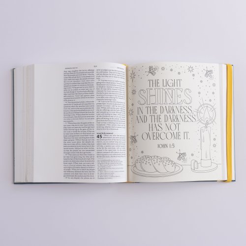 NIV Illuminated Bible - Wide Margin Art Journaling Edition