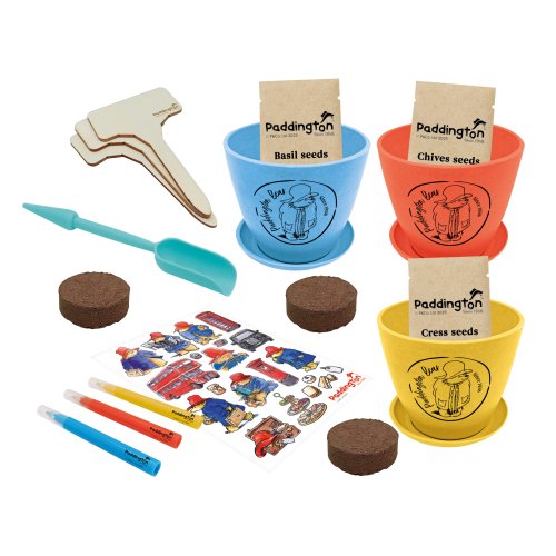 Children's Paddington Plant Growing Kit