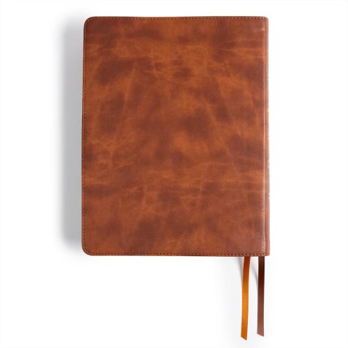 CSB Men of Character Bible, Revised and Updated, Brown LeatherTouch, Indexed