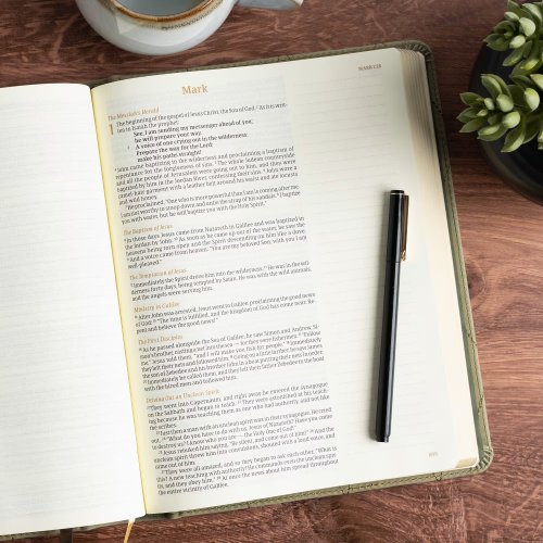 CSB Notetaking Bible, Large Print Edition, Sage Suedesoft