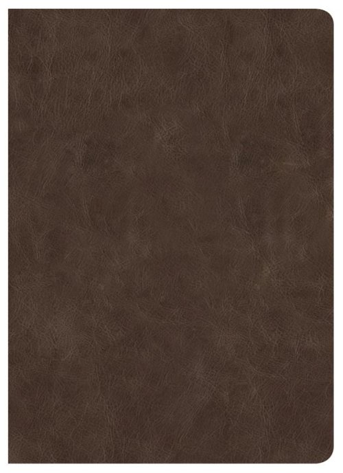 CSB Lumen Dei Bible, Lux Gloriae: Single-Column Wide-Margin